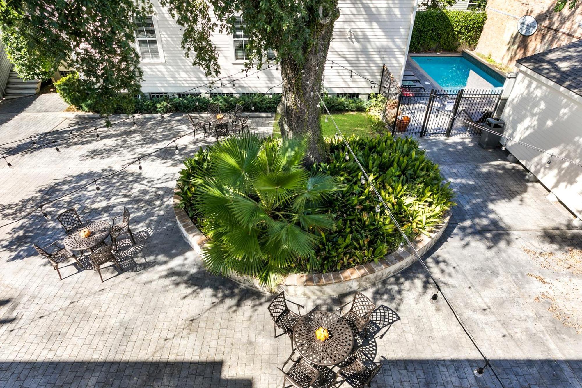 Amazing 3Br Cottage Off St Charles With Pool New Orleans Eksteriør billede